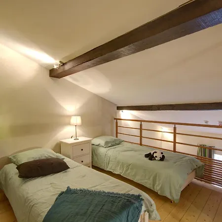 Historique Au Coeur Du Parc Du Pilat - 14 Pers, 3 Ch, 3 Sdb, Wifi, Jardin, Animaux Acceptes - Fr-1-496-136 *